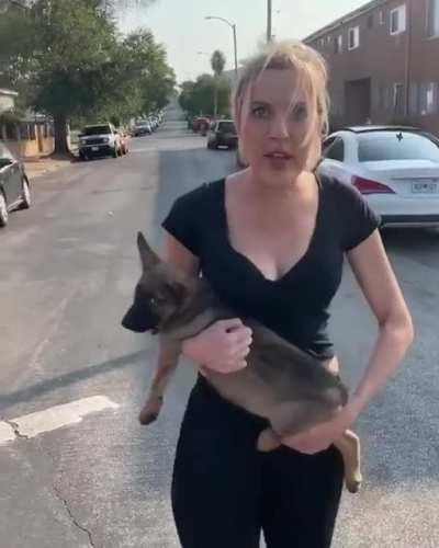 Karen Throws A Puppy On A Man After Being A Karen