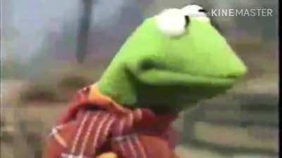 Kermit dies in a Bicycle accident