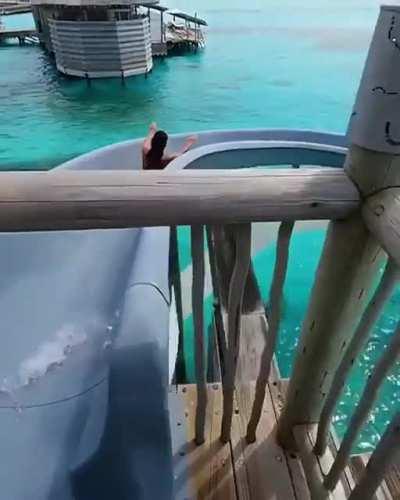 Pia Wurtzbach Bouncing Bikini Walk 😜 Love it!