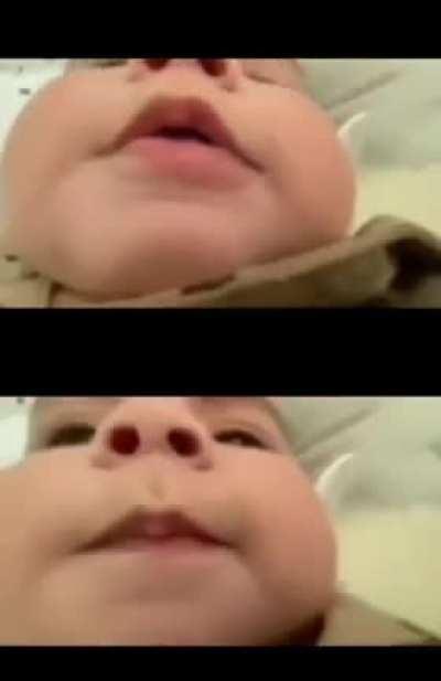 r/gocommitdie users summarized