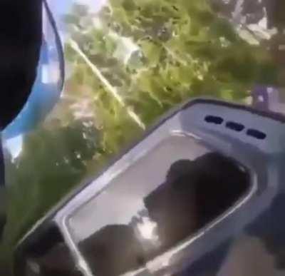 Attempting murder, what could go wrong?