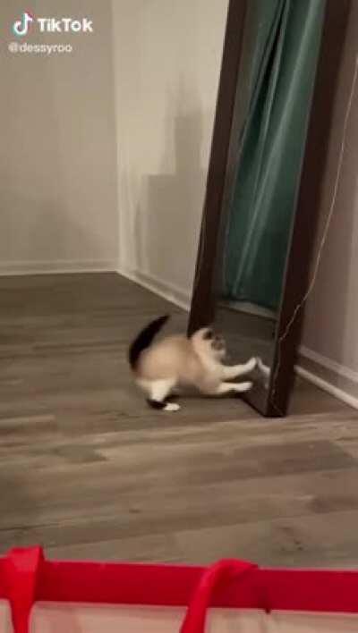 That bouncing around sure is terrifying.