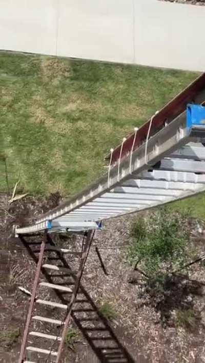 Necessity is the mother of … what the hell is he thinking?!?!