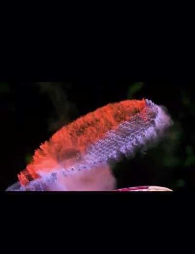 Dust being knocked off of racket!