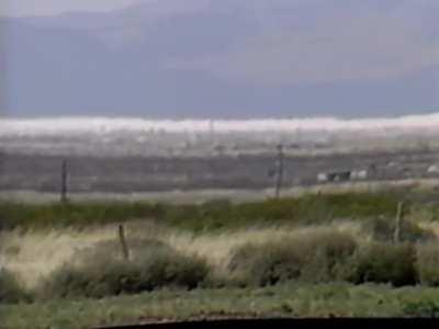 Wax or the Discovery of Television Among the Bees (1991) the first film on the Internet