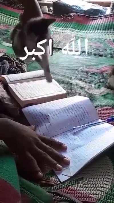 Best muslim experiment (insha allah)