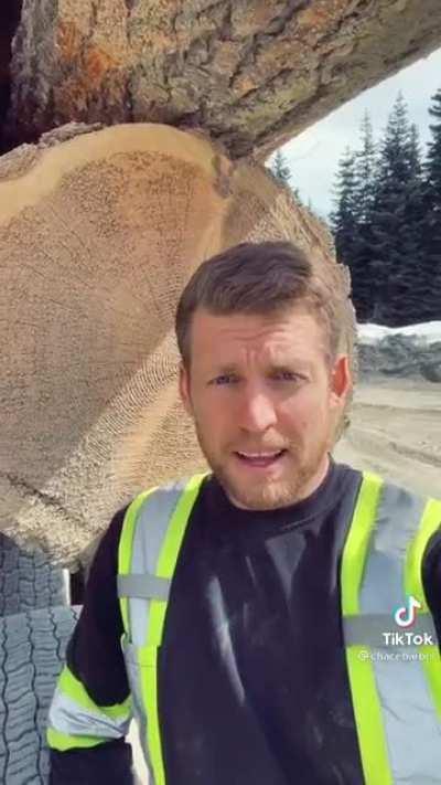 A Foolproof Investment