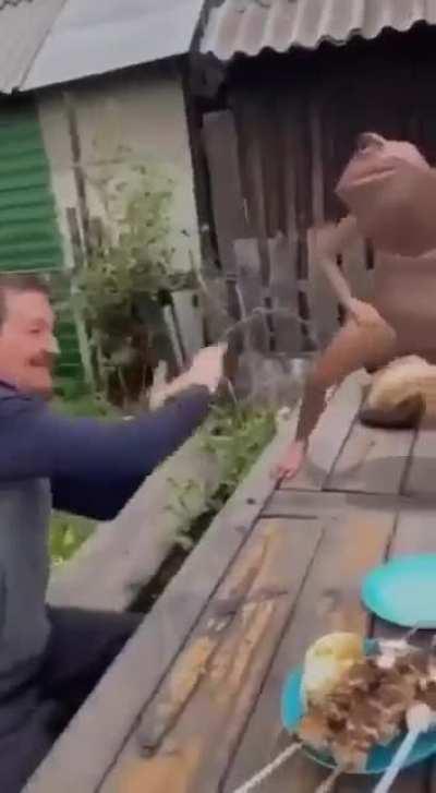 I'm 15 and this is yeet