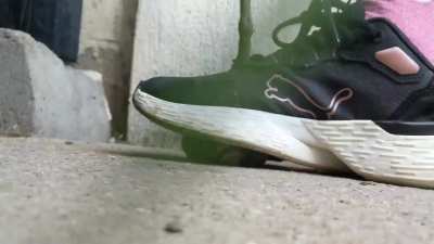 Quick snail crush with sneakers