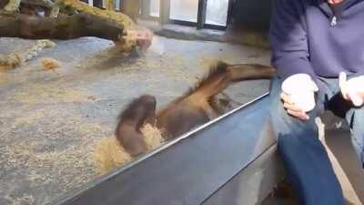 Reacting to a magic trick