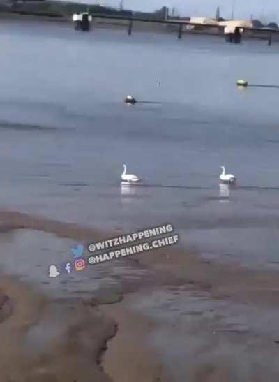 To arrest the guy.. 😂