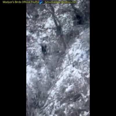 Madyar's recon group - 20 min 