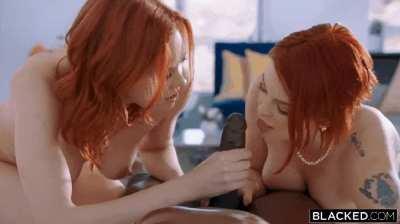 BLACKED - Maitland Ward & Bree Daniels - We All Do It Too