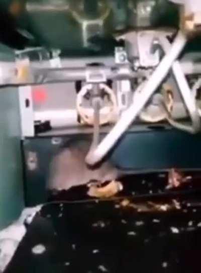 N sei qual título por