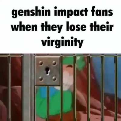 average genshin impact fan