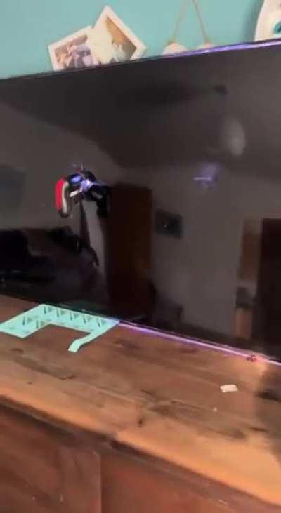 So glad i stopped gaming