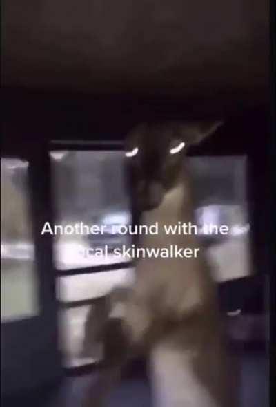 EVIDENCE IT WAS ALL REAL