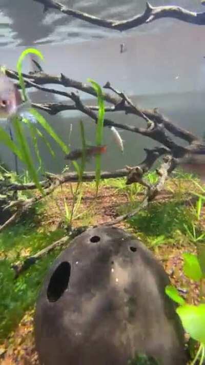 Full shot clip as requested! 😀