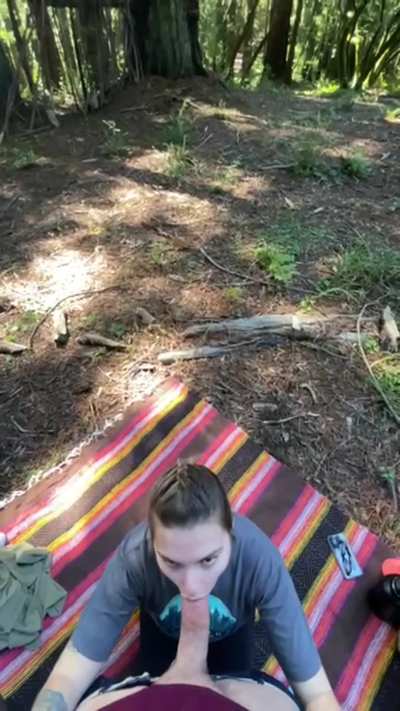 Public blowjob Muir woods