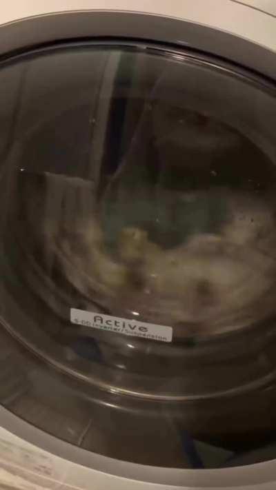 Grandpa's getting the hang of it