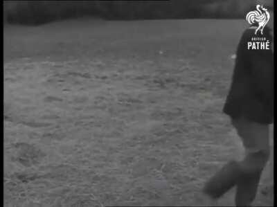 A seed sowing device known as the 