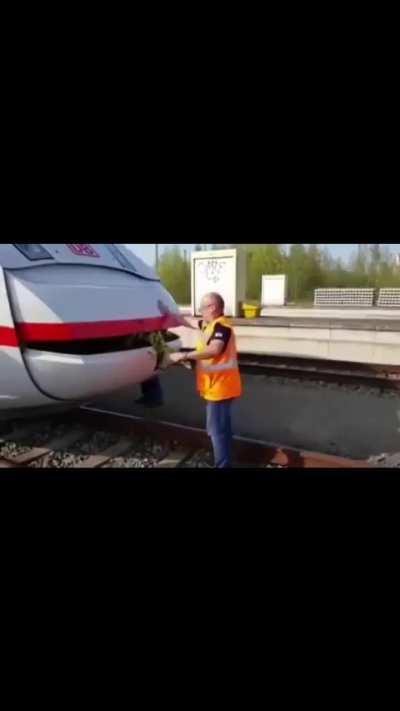 Fütterung eines ICEs