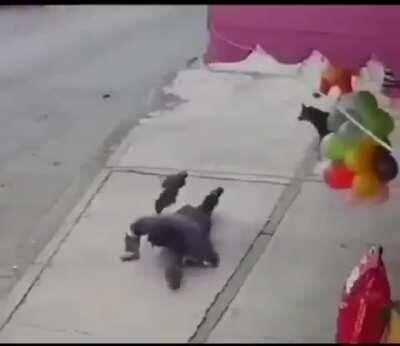 Good Ani... Kill him