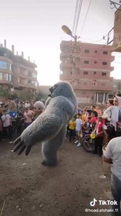 Finally killed the gurdian ape and got happy..........10 sec later: