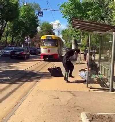 He got there just in time ....