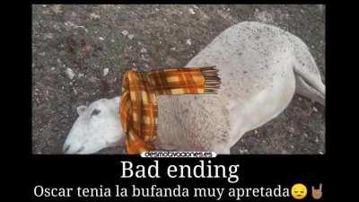 Bad ending Oscar😔🤘🏽