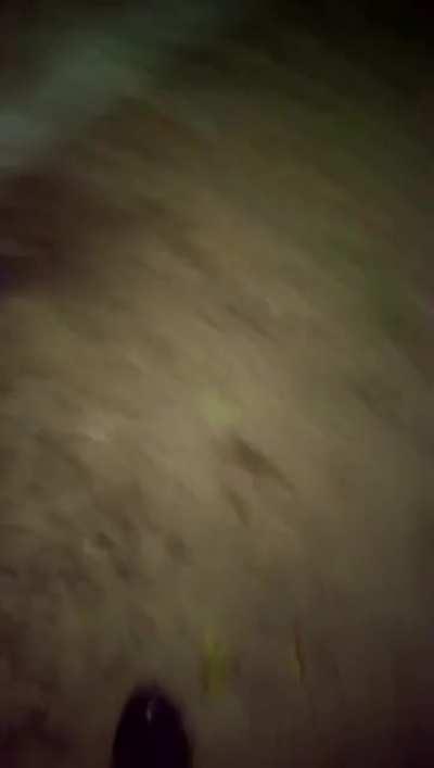 Teresa Is Brutal And She Ain't Playing