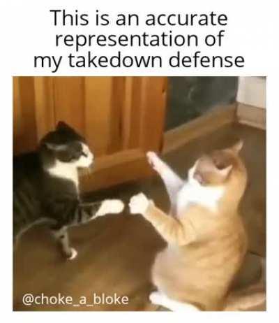 My takedown defense...