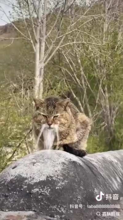 If you had him what would you name him?