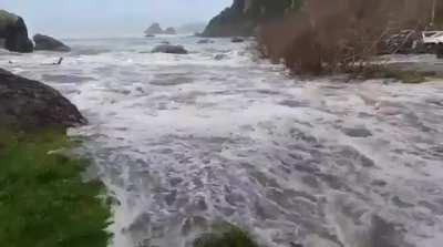 A sneaker wave is a disproportionately large coastal wave that can appear in a wave train without warning. This video was shared by Marcella Ogata-Day to help bring awareness of the dangers of sneaker waves