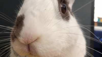 Marcel has something to tell you