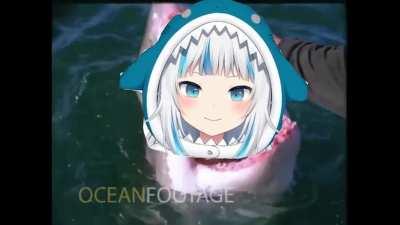 Only pats for shark, no lood.