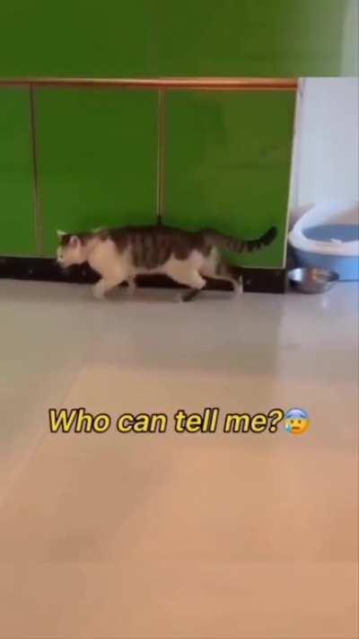 Movement.EXE stopped working