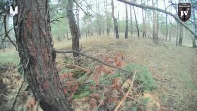 Ukrainian 4th Group of the 8th SOF Regiment took out 2 Russian soldiers plus enemy ambush drone and also captured POWs. Donetsk Oblast. Nov 2025, published 28.11.2025