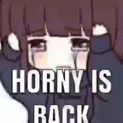 when I come home to my cats