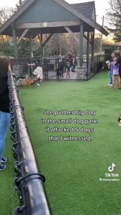 Lady refuses to take her big dog out of little dog area of the park.