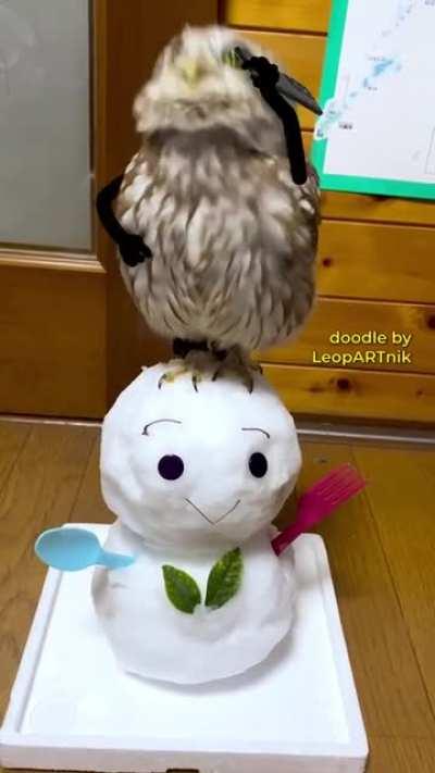 Look at that owl