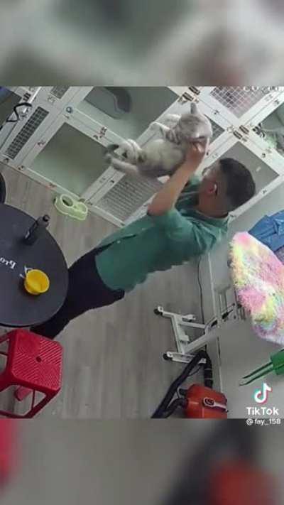 I’m gonna get cha, get cha, get cha, get cha