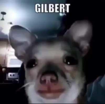 Gilbert