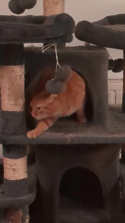 Aaaaaaaa greebles everywhere!!