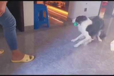 He's an excellent goalkeeper..