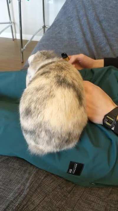 Twerking for nanas 🍌 because they're sooo yummy