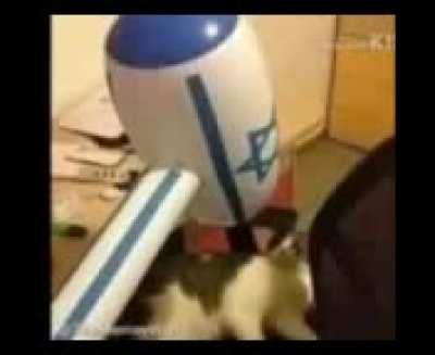 i have strange discord friends