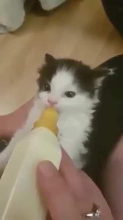 Bottle time causes her ears to wiggle