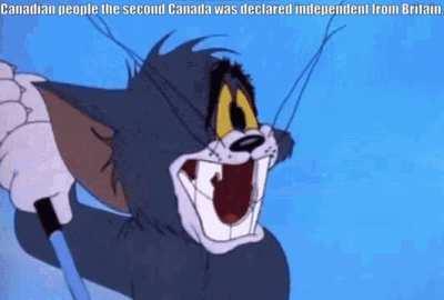 We've got some rather nice chompers innit mate?