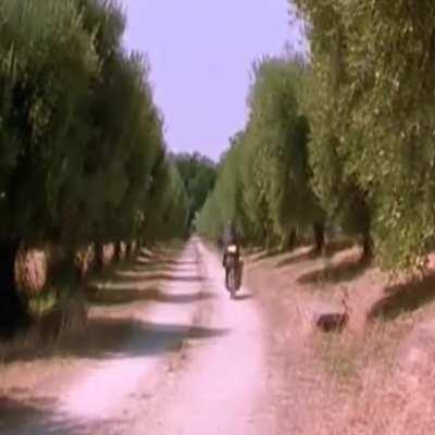 For the Bert Di Grasso fans ( F Murray Abraham)